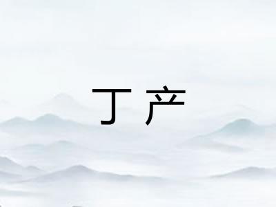 丁产