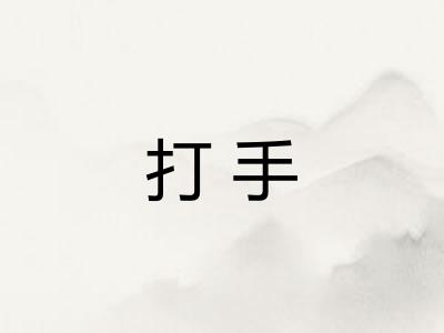 打手