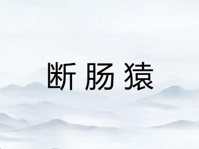 断肠猿