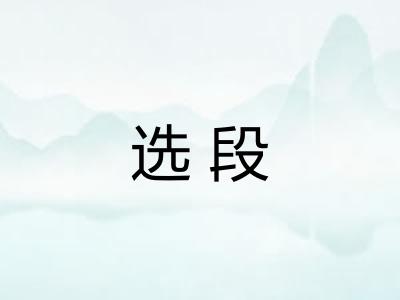 选段