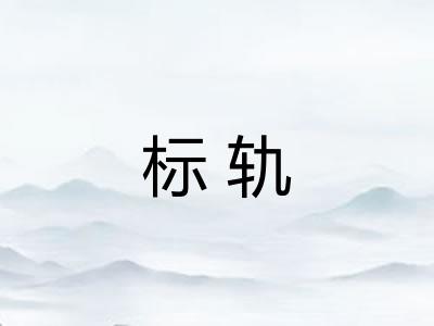 标轨
