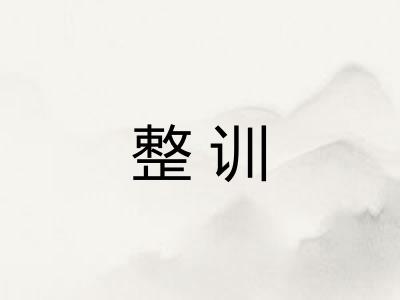 整训