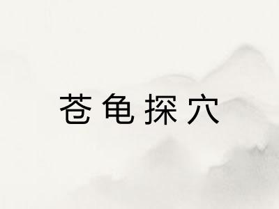 苍龟探穴