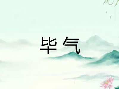 毕气