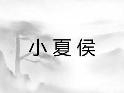 小夏侯