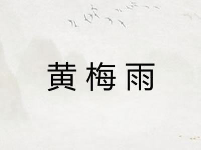 黄梅雨