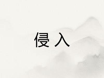 侵入