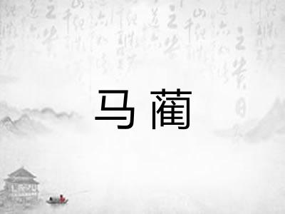 马蔺