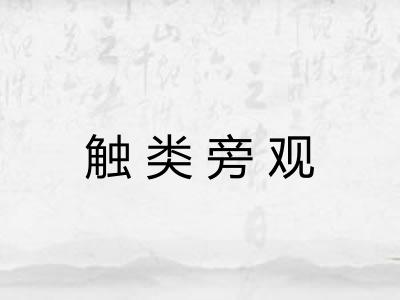 触类旁观