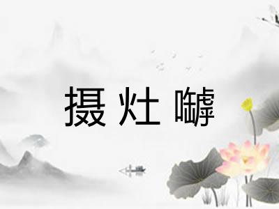 摄灶嚹