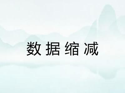 数据缩减