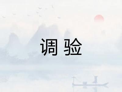调验
