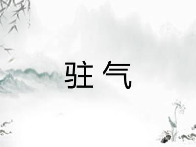 驻气