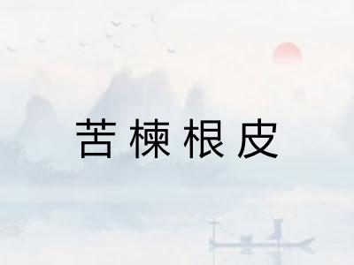 苦楝根皮