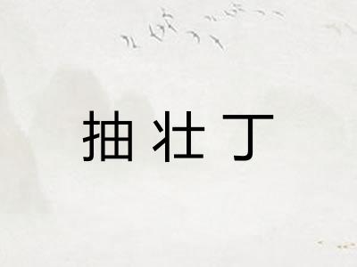 抽壮丁