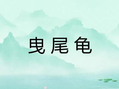 曳尾龟