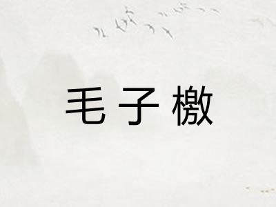 毛子檄