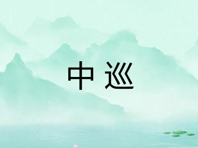 中巡