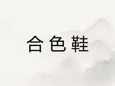 合色鞋