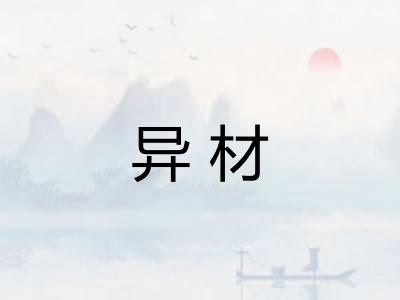 异材