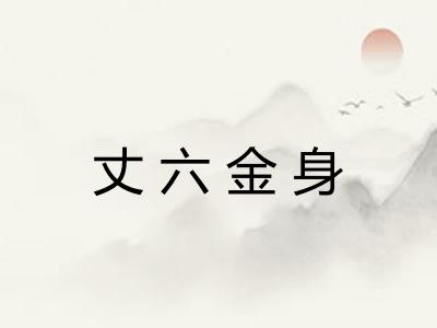 丈六金身