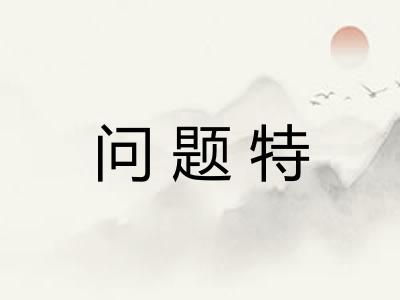 问题特