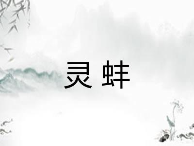 灵蚌