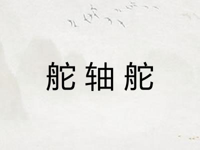 舵轴舵