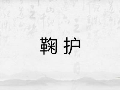 鞠护
