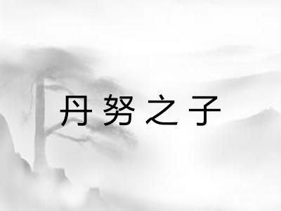 丹努之子