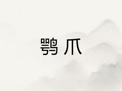 鹗爪