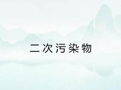 二次污染物