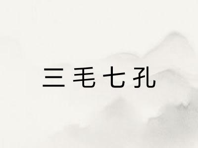三毛七孔