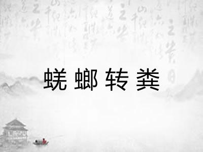 蜣螂转粪