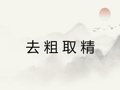 去粗取精