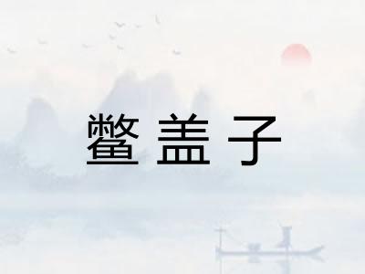 鳖盖子
