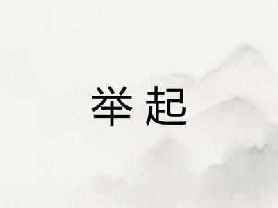 举起