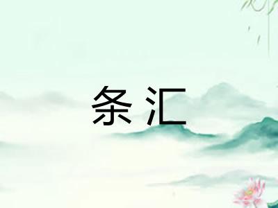 条汇