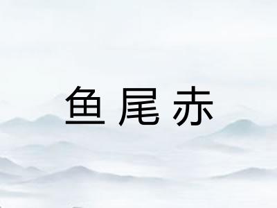 鱼尾赤
