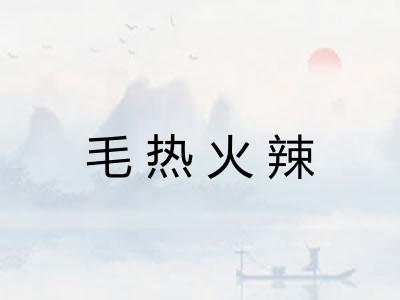 毛热火辣