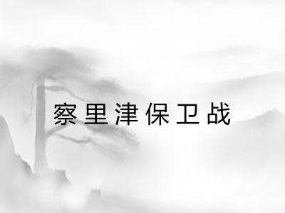 察里津保卫战