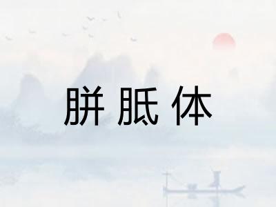 胼胝体