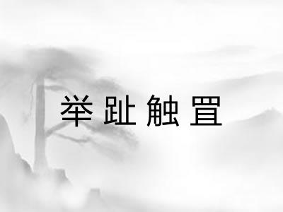 举趾触罝