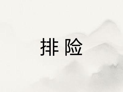 排险