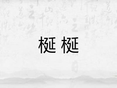 梴梴