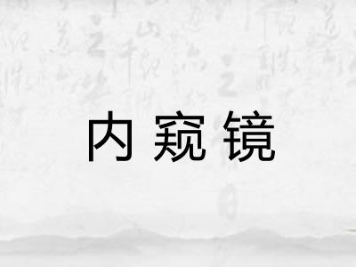 内窥镜