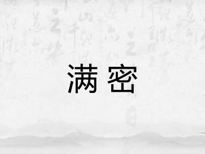 满密