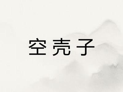 空壳子