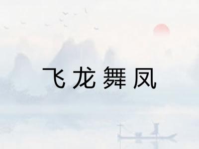 飞龙舞凤