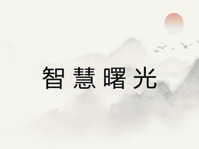 智慧曙光